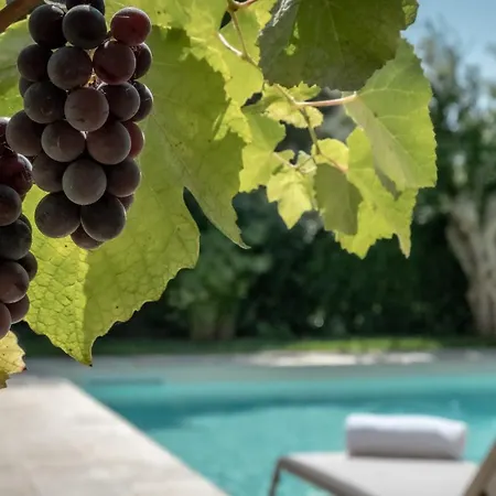 Historic Building With Pool Gagliano del Capo